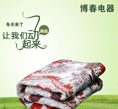 大量智能水暖床垫 电热毯水暖毯 三人静音水热毯 可订制图片_高清图_细节图-沧州凯普电子设备器材厂