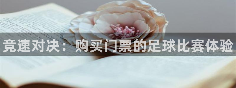  竞速对决：购买门票的足球比赛体验