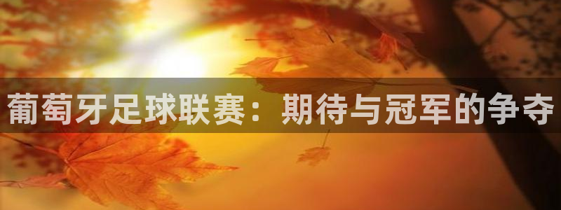  葡萄牙足球联赛：期待与冠军的争夺