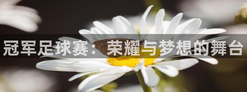  易倍emc官网：冠军足球赛：荣耀与梦想的舞台