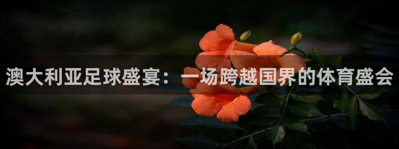 易倍emc体育信誉怎么样!：澳大利亚足球盛宴：一场跨越国界的