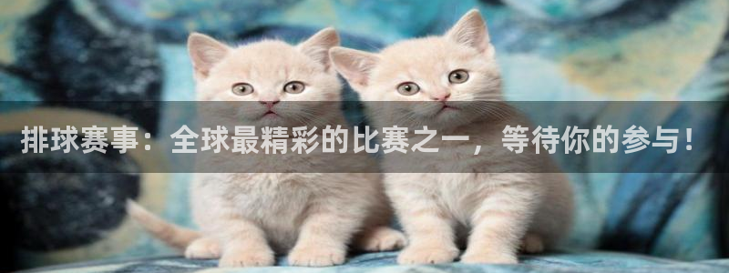 emc易倍：排球赛事：全球最精彩的比赛之一，等待你的参与！