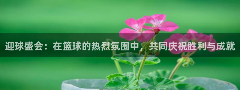 易倍emc体育网页版：迎球盛会：在篮球的热烈氛围中，共同庆祝
