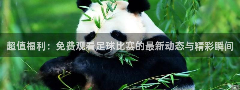 易倍emc网址网页版本登陆：超值福利：免费观看足球比赛的最新