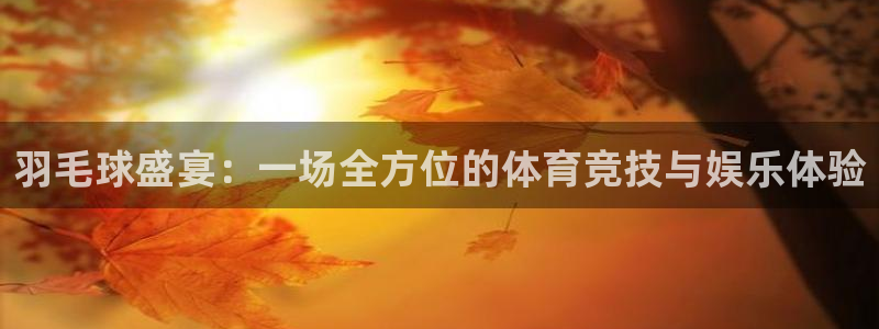  emc体育怎么样：羽毛球盛宴：一场全方位的体育竞技与娱乐体验