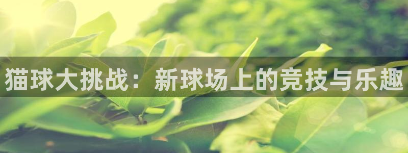  emc易倍官网首页进入：猫球大挑战：新球场上的竞技与乐趣