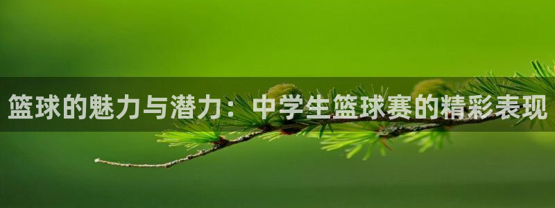 emc体育app下载：篮球的魅力与潜力：中学生篮球赛的精彩表